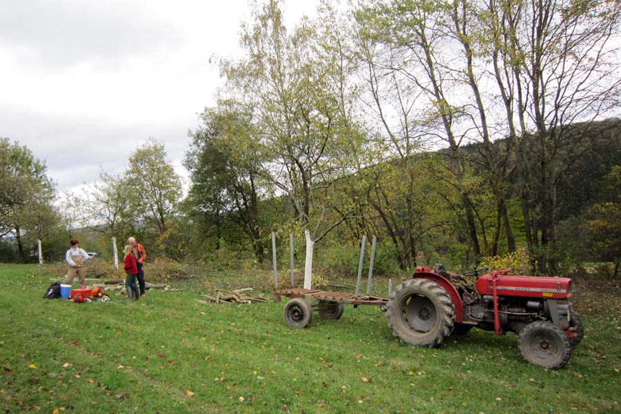 Pflege im Frühling © Ulrich Kuczkowiak