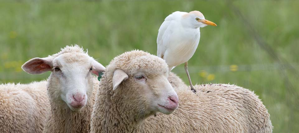 Banner für Bruchhausen in Erkrath