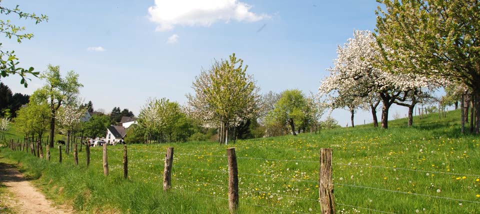 Streuobstwiese © NABU-Naturschutzstation Leverkusen - Köln