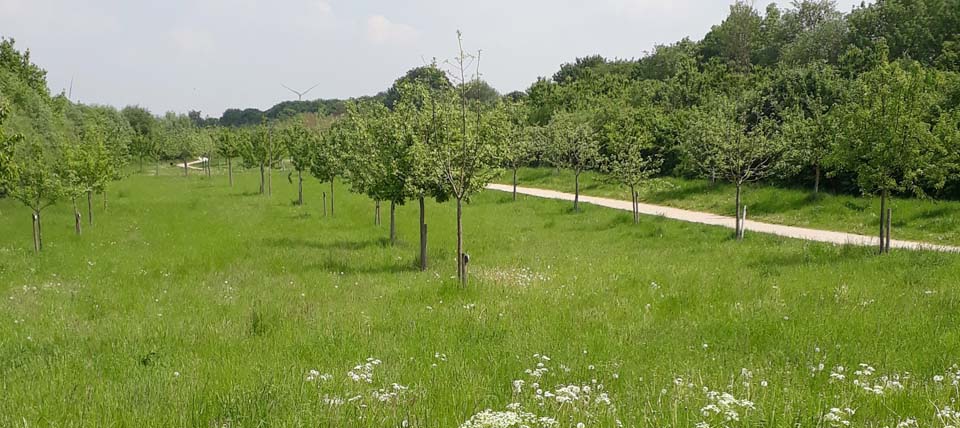 Banner für Alpen im Kreis Wesel