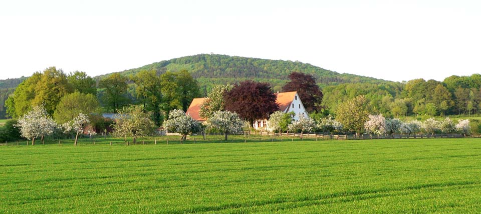 Banner für Familie Kemper/Steinnökel in Borgholzhausen