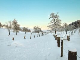 Obstwiese Aetzlenbach © Hans-Martin Kochanek