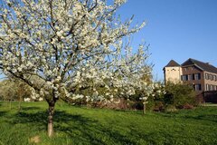 Haus Bürgel © Joschka Meiburg