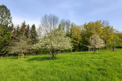 Streuobstwiese Iserlohn Oestrich © Lena Hölzer