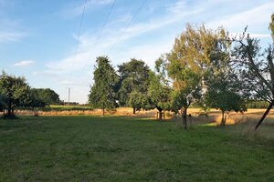 Streuobstwiese in Sendenhorst