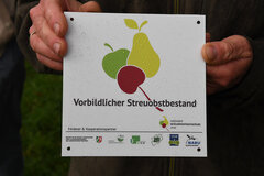 Plakette zum Vorbildlichen Streuobstbestand © Dag Sterzinger