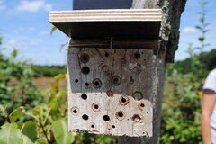 Insektenhotel © Thorsten Wiegers